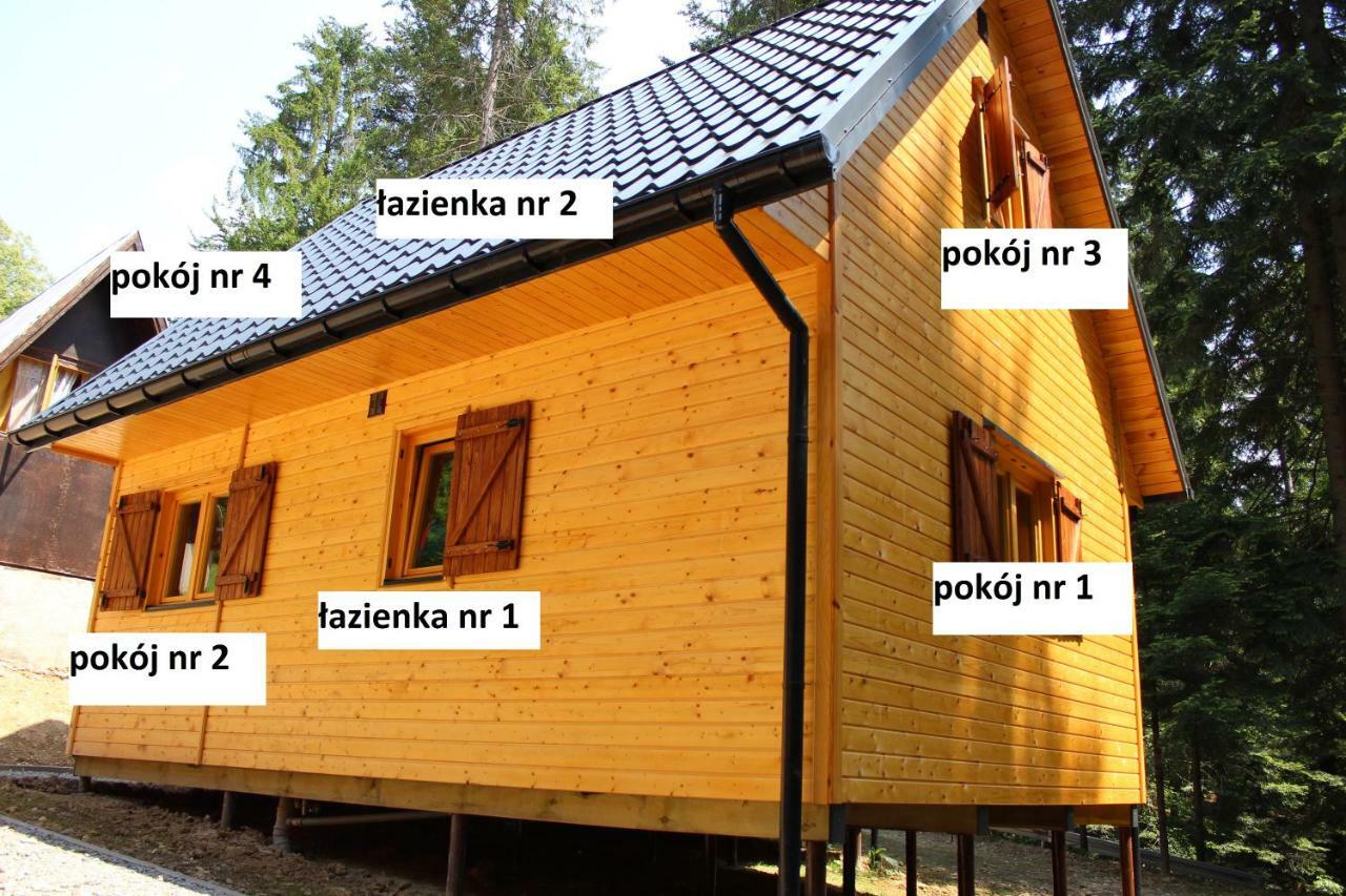 Lesna Willa Pttk W Komanczy Команьча Экстерьер фото